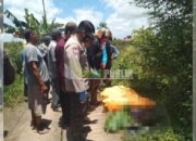 Niat Mancing, Pria di Tapin Tewas Tersengat Listrik