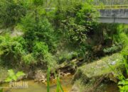 PUPR Tapin Rencanakan Perbaiki Ambrolnya Siring Sungai Hatalaut Bungur