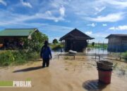 Diguyur Hujan Lebat, Puluhan Rumah di Tapin Kembali Terendam