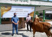 PT BRE Bagikan Belasan Ekor Hewan Kurban Untuk Warga Tapin