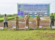 Manfaatkan Kayapu, Pemkab HSS Tanam Padi Bersama Poktan Cinta Maju di Lahan Rawa