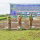 Pemkab HSS Tanam Padi di Lahan Rawa