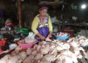 Harga Ayam Potong Naik, Penjualan Pedagang di Banjarmasin Merosot