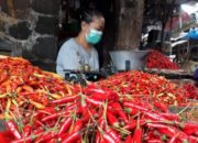 Harga Cabai di Banjarmasin Anjlok, Pedagang Terancam Merugi