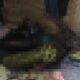 Penjaga Malam Ditemukan Warga Meninggal