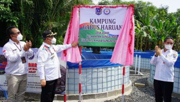 Bupati Fikry Resmi Canangkan Desa Asam Sebagai Kampung Gabus Haruan