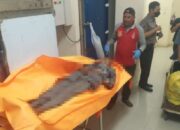 Polisi Ungkap Kronologis Kecelakaan Maut Tewaskan Lansia di Banjarmasin