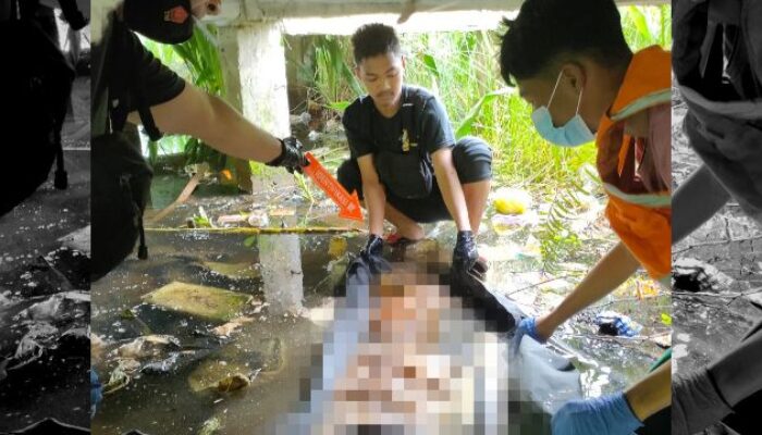 Geger!!! Warga Basirih Banjarmasin Temukan Tengkorak Manusia di Bawah Rumah Singgah