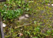 Heboh, Mayat Bayi Ditemukan Warga Mantuil di Bantaran Sungai Martapura