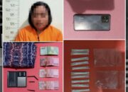 Simpan 20 Paket Sabu, Polsek Kandangan Ringkus Seorang IRT Asal HSS