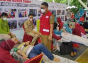 Lewat Kegiatan Donor, PMI HSS Upayakan Stok Darah di Bumi Rakat Mufakat Tersedia