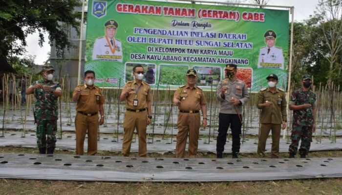 Pemkab HSS Canangkan Gerakan Tanam Cabai Guna Antisipasi Inflasi Daerah