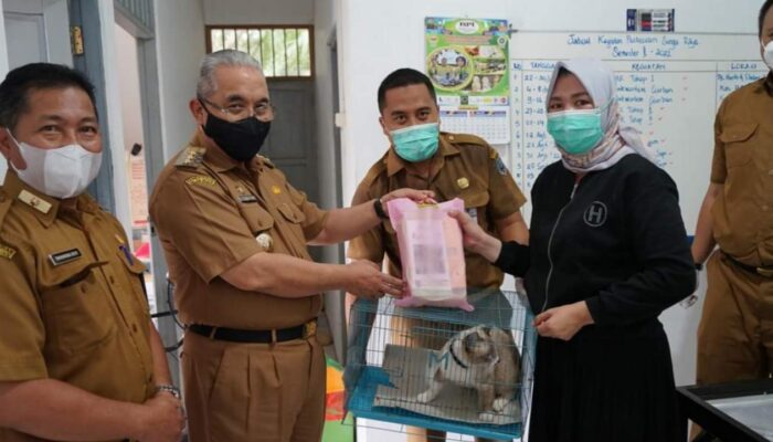 Hari Rabies Sedunia, Bupati HSS Ajak Masyarakat Vaksinasi Hewan Peliharaan
