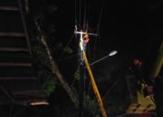 Pohon Tumbang di Desa Purut Tapin Picu Suara Ledakan dan Percikan Api