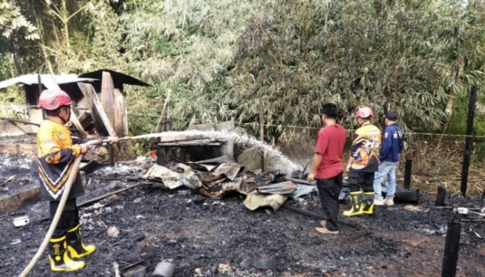 Satu Orang Tewas dan Tiga Rumah Hangus Terbakar di Halong Balangan