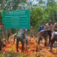 Tim Gabungan melakukan pemasangan papan himbauan kawasan hutan lindung di Desa Malilingin, Kecamatan Padang Batung, Kabupaten Hulu Sungai Selatan (HSS).