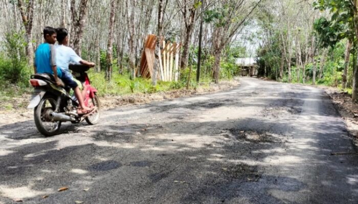 Baru Diperbaiki, Jalan Desa Mantimin Balangan Kembali Rusak