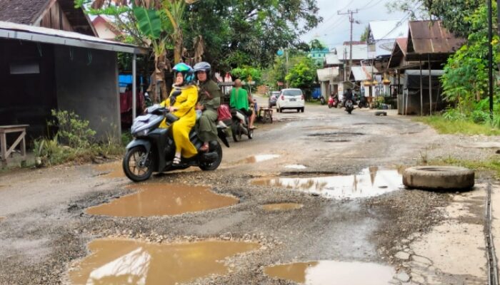 Jalan Rusak Parah, Warga Desa Pudak Balangan Minta Perbaikan Permanen