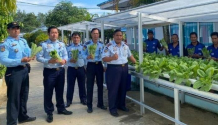 Warga Binaan Lapas Tanjung Sukses Budidaya Sayur Pakcoy Hidroponik