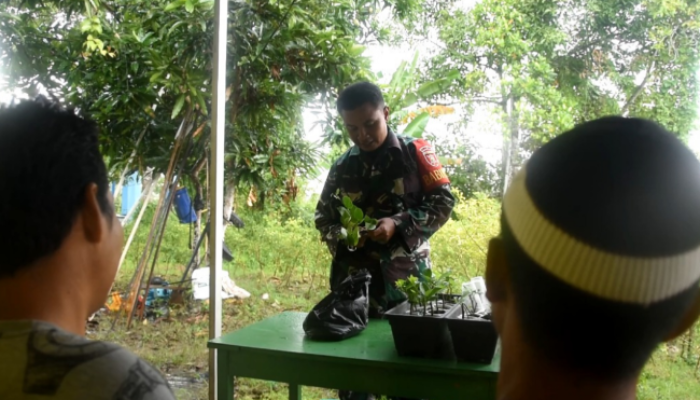 Tingkatkan Ekonomi Masyarakat, Babinsa Daha Utara HSS Ajarkan Metode Stek Jeruk Lemon