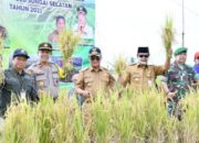 Berhasil Dikembangkan, Paman Birin dan Bupati Fikry Panen Perdana Padi Apung di HSS