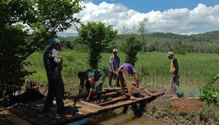 Peduli Sektor Pertanian, Babinsa Koramil Padang Batung HSS Bangun Jembatan di Area Persawahan