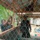 Dansatgas TMMD ke 117 Kodim 1003/HSS, Letkol Inf Nurliwedie Nurdin Kanan memantau pengerjaan sasaran fisik tambahan Pos Kamling di Dusun Paniungan, Desa Malilingin, Kecamatan Padang Batung.