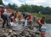Jaga Ekosistem Sungai Amandit, KIN dan PT AGM Tebar 25 ribu Bibit Ikan Air Tawar