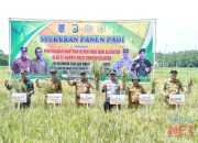 Pj Bupati HSS Hadiri Panen Raya Poktan Tani Gua Makmur Desa Hariti