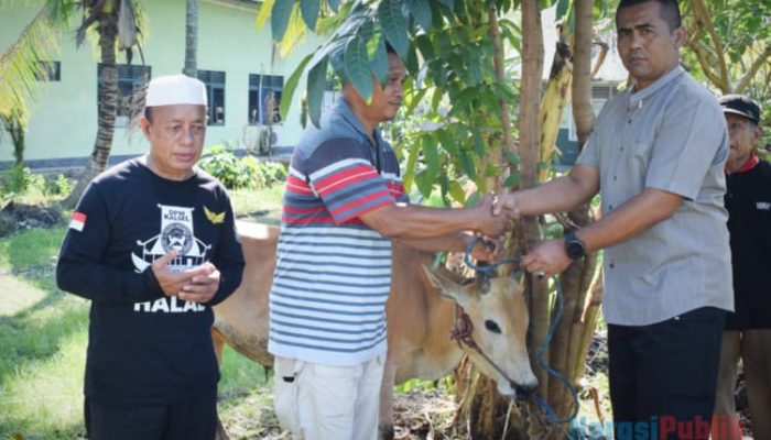 Idul Adha 1445 Hijriah, Kodim 1007 Banjarmasin Sembelih 6 Ekor Hewan Kurban