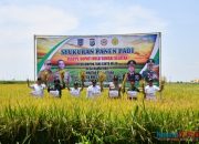 Pj Bupati HSS Ikut Panen Padi Bersama Petani Desa Hamayung Daha Utara