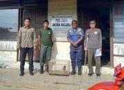 Anggota Damkar HSU Serahkan Anak Bekantan Hasil Rescue ke BKSDA Kalsel