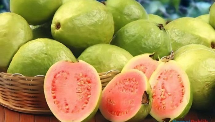 Jambu Biji Merah, Superfood Penuh Manfaat untuk Kesehatan