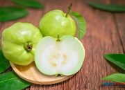 Rahasia Kesehatan Jambu Biji: Kaya Vitamin C dan Manfaatnya untuk Imunitas