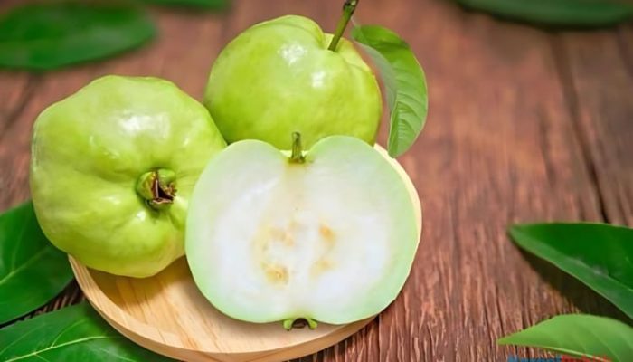 Rahasia Kesehatan Jambu Biji: Kaya Vitamin C dan Manfaatnya untuk Imunitas