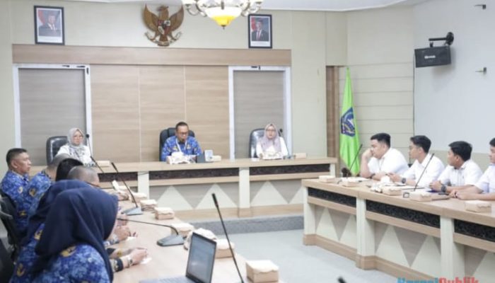Sekda HSS Ikuti Pemeriksaan Intern LKPD 2024 Wilayah Kalsel