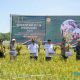 Bupati HSS, Syafrudin Noor dan Wabup HSS, Suriani beserta Forkopimda melakukan panen padi perdana di Desa Padang Batung secara simbolis. (Foto : Prokopim HSS)