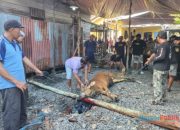 Idul Adha, Warga Komplek Herlina RT 44 Banjarmasin Gotong Royong Potong Hewan Kurban