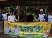 Jelang Hari Raya Iduladha, Bupati Tapin Salurkan Sapi Qurban untuk Warga di Lima Kecamatan