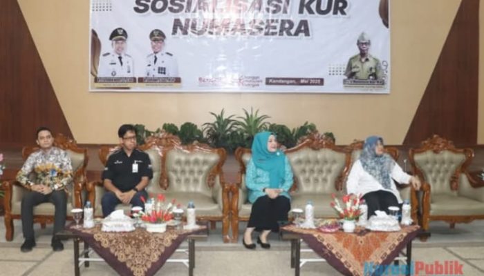 Sosialisasi KUR Numasera, Ketua PKK HSS Beri Motivasi Pelaku UMKM