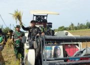 Dorong Ketahanan Pangan, Pemkab Tapin Panen Padi Perdana Bersama Presiden