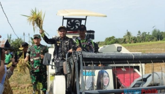 Dorong Ketahanan Pangan, Pemkab Tapin Panen Padi Perdana Bersama Presiden