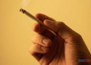Waspada! Asap Rokok Ancam Tumbuh Kembang Anak Sejak dalam Kandungan