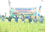 Panen Padi dan Cabai, Wabup HSS Apresiasi Hasil Melimpah Kelompok Tani Tunas Harapan
