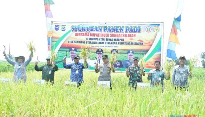Panen Padi dan Cabai, Wabup HSS Apresiasi Hasil Melimpah Kelompok Tani Tunas Harapan