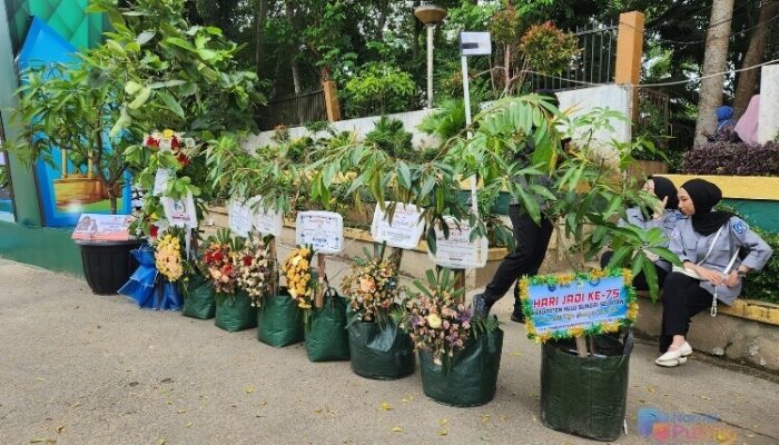 Ganti Karangan Bunga dengan Pohon, DPRD HSS Apresiasi Kebijakan Ramah Lingkungan di Harjad ke-75