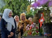 Meriahkan Harjad ke-75, Ketua TP PKK HSS Jadi Juri di Festival Anggrek dan Bonsai II