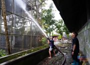 Wali Kota Banjarmasin Turun Benahi Taman Edukasi Satwa Jahri Saleh