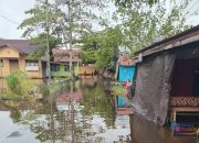 Banjir Rob Rendam Tiga Kecamatan di Tapin, Ratusan KK Terdampak