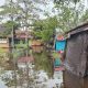Banjir rob genangi sebagian wilayah di Kabupaten Tapin. (Dok. Istimewa)